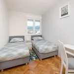 Mimi Apartment Split